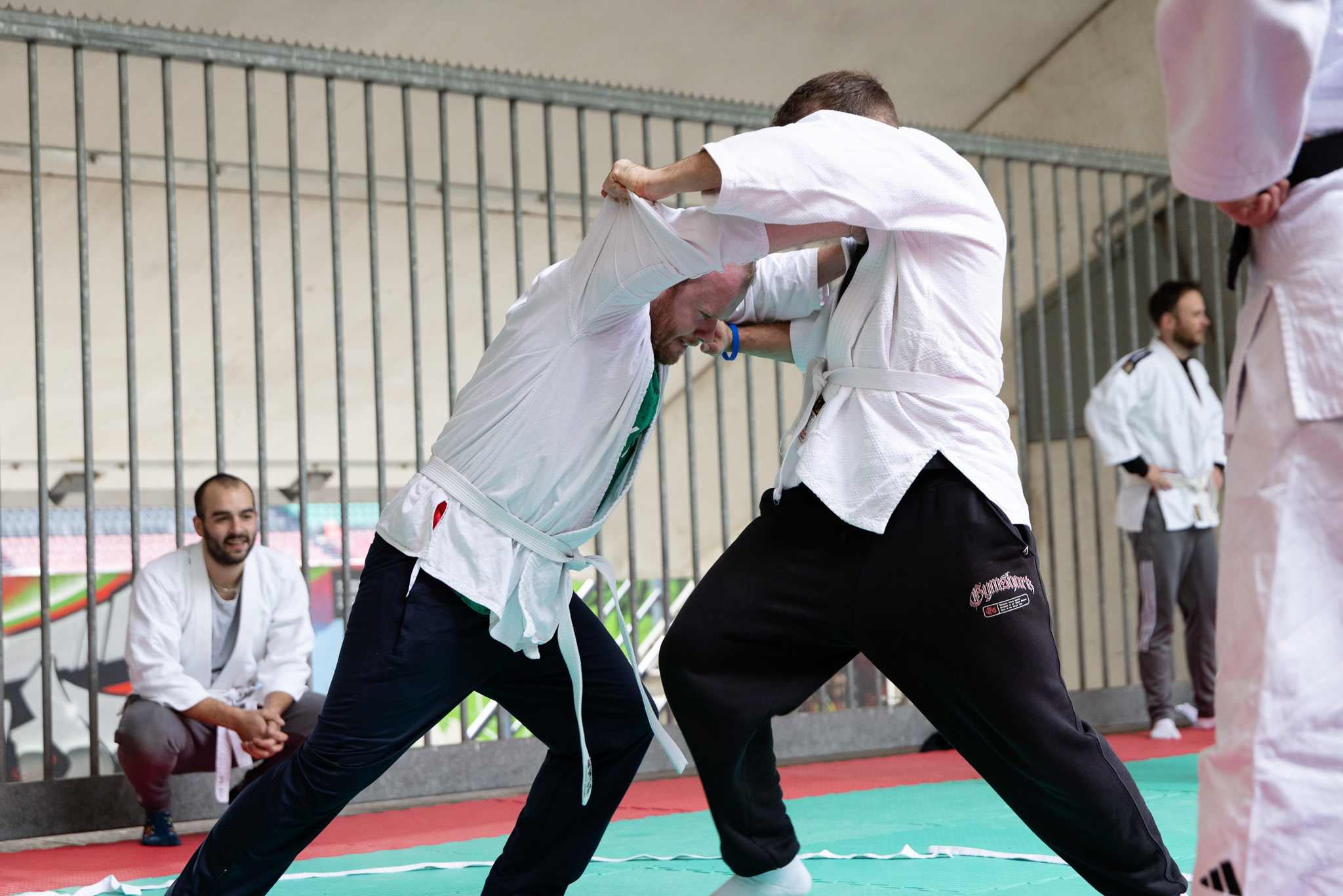 Sporters Prestatiegedrag